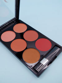 Make-up Multi-color Boutique Domestic Product Six-color Blush Repair Makeup