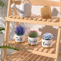 Best Friend Birthday Gifts for Women, Christmas BFF Friendship Gifts for Women & Men, Best Friend Ever Succulent Pots Indoor Outdoor, Gift Boxed Ceramic Planter Gift Set for Friends Female Bestie - FoxMart™️ - TuDou