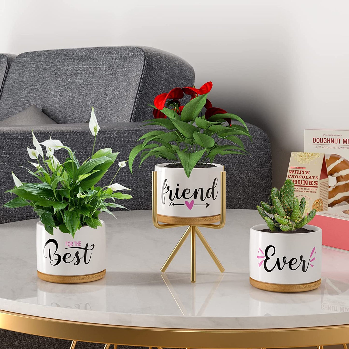 Best Friend Birthday Gifts for Women, Christmas BFF Friendship Gifts for Women & Men, Best Friend Ever Succulent Pots Indoor Outdoor, Gift Boxed Ceramic Planter Gift Set for Friends Female Bestie - FoxMart™️ - TuDou