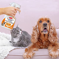 Clear | Flea Spray for Cats, Dogs and Home | Controls Flea and Tick Infestations in the Household (300 Ml) - FoxMart™️ - Bob Martin