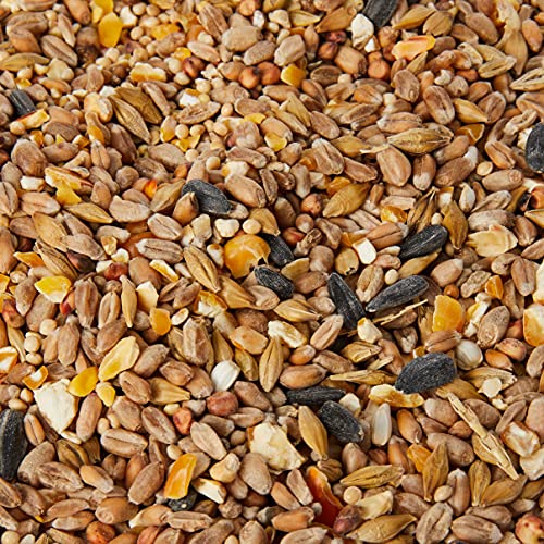 Extra Select Seed Mix Wild Bird Food, 5 Litre - FoxMart™️ - Extra Select