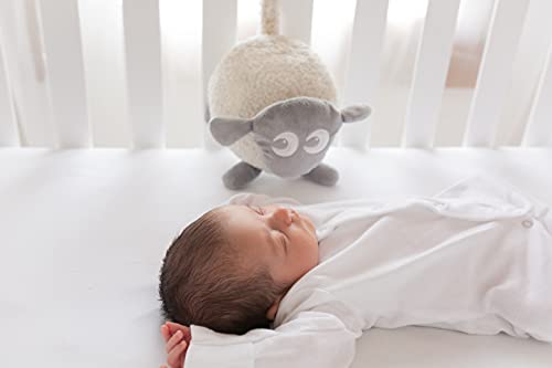 Sweet Dreamers, Ewan The Dream Sheep, Grey - Baby White/Pink Noise Machine and Sleep Aid with Night Light - FoxMart™️ - Sweet Dreamers